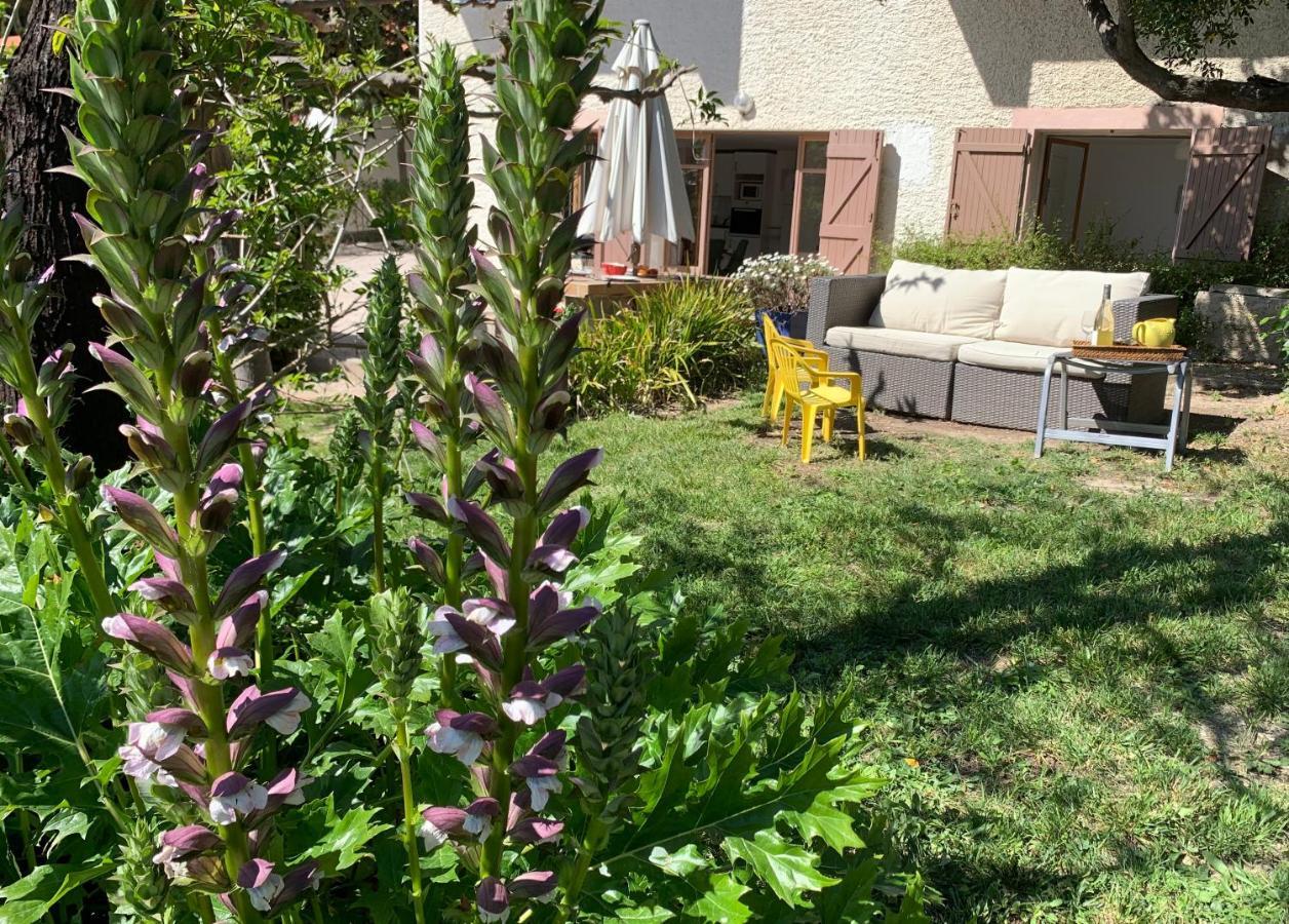 Large Private Garden, Quiet 2-Bedroom Apartment, Air Conditioning, Wifi, Parking Cassis Zewnętrze zdjęcie
