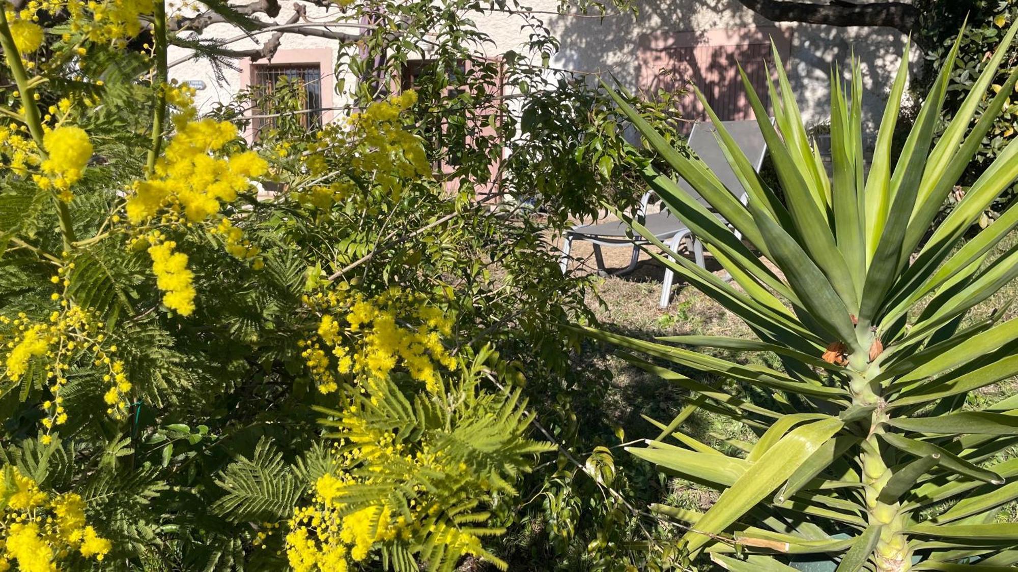 Large Private Garden, Quiet 2-Bedroom Apartment, Air Conditioning, Wifi, Parking Cassis Zewnętrze zdjęcie